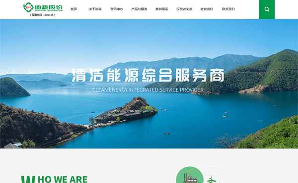 廣州迪森熱能技術股份有限公司